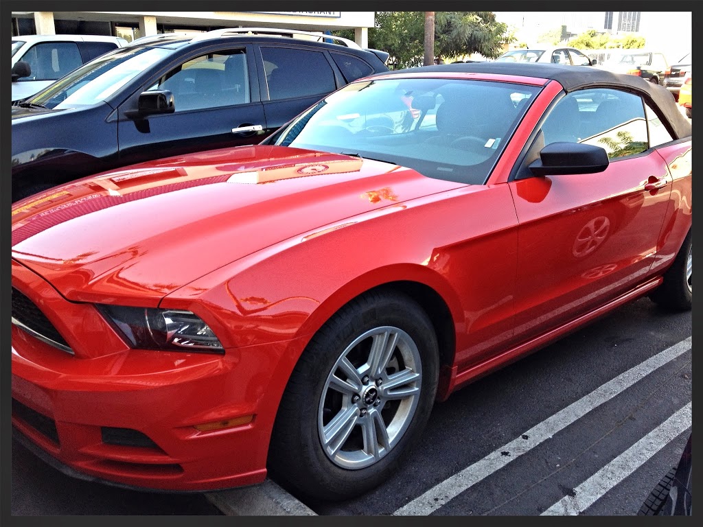 Dollar rent a car ford mustang convertible #6